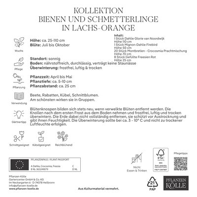 Kölles Beste Kollektion Bienen & Schmetterlinge Mischung, 30 Blumenknollen