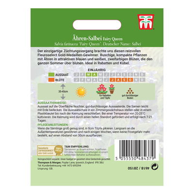 Ährensalbei (Salvia farinacea) Fairy Queen / lange Blütenzeit, einjährig Ährensalbei (Salvia farinacea) Fairy Queen / lange Blütenzeit, einjährig