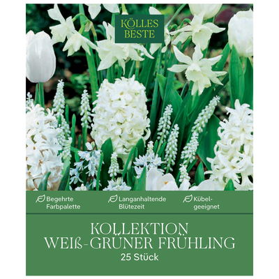Kölles Beste Kollektion 'Weiß-grüner Frühling®', 25 Blumenzwiebeln