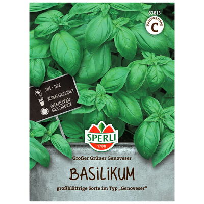 Sperli's Basilikum Genoveser, Ocimum basilicum