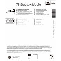 Kiepenkerl Steckzwiebel-Trio, 250 g