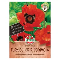 Saatgut Riesenmohn 'Sperli’s Orient'