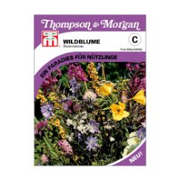 Wildblume Wiesenland / 30 Wildblumen, einjährig, pflegeleicht