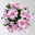 Chrysanthemen 'Chrysanne®Grandezza Pink', rosa, Topf-Ø 13 cm, 4 Pflanzen