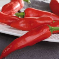 Chili-Paprika Mix, scharf, Topf-Ø 12 cm, 5er-Set