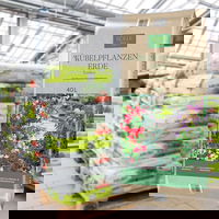 Kölle Bio Kübelpflanzenerde, torffrei, 36 Sack á 40 l, gesamt 1440 Liter