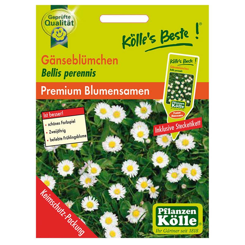 Kölle's Beste Blumensamen Gänseblümchen (Bellis)