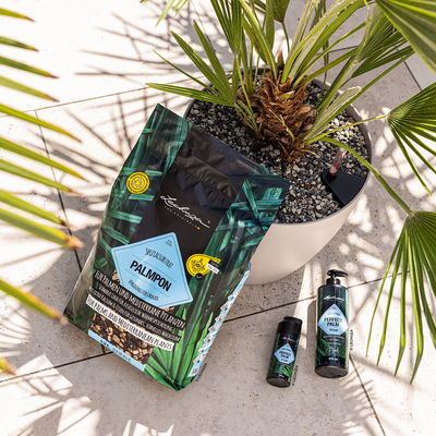 Lechuza Palmpon, 12 Liter Lechuza Palmpon, 12 Liter