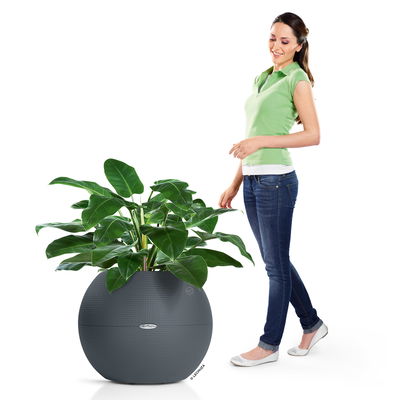 Lechuza 'Puro Color 50', schiefergrau, ca. Ø 50 x H 39 cm Lechuza 'Puro Color 50', schiefergrau, ca. Ø 50 x H 39 cm