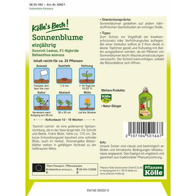 Kölles Beste Sonnenblume 'Sunrich Lemon' Kölles Beste Sonnenblume 'Sunrich Lemon'