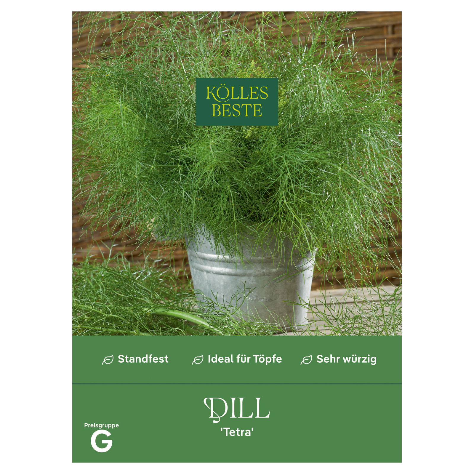 Kölles Beste Kräutersamen Dill Tetra einjährig