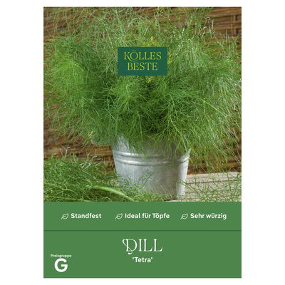 Kölles Beste Kräutersamen Dill Tetra einjährig