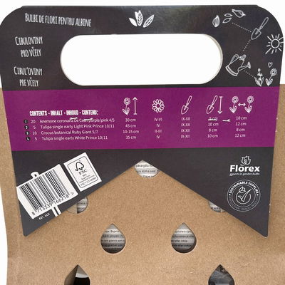 Blumenzwiebelmischung 'City Bienen & Schmetterlinge',  40 Blumenzwiebeln