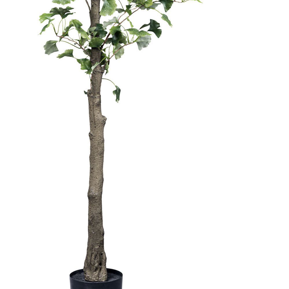 Künstlicher Ginkgobaum, Höhe ca. 210 cm