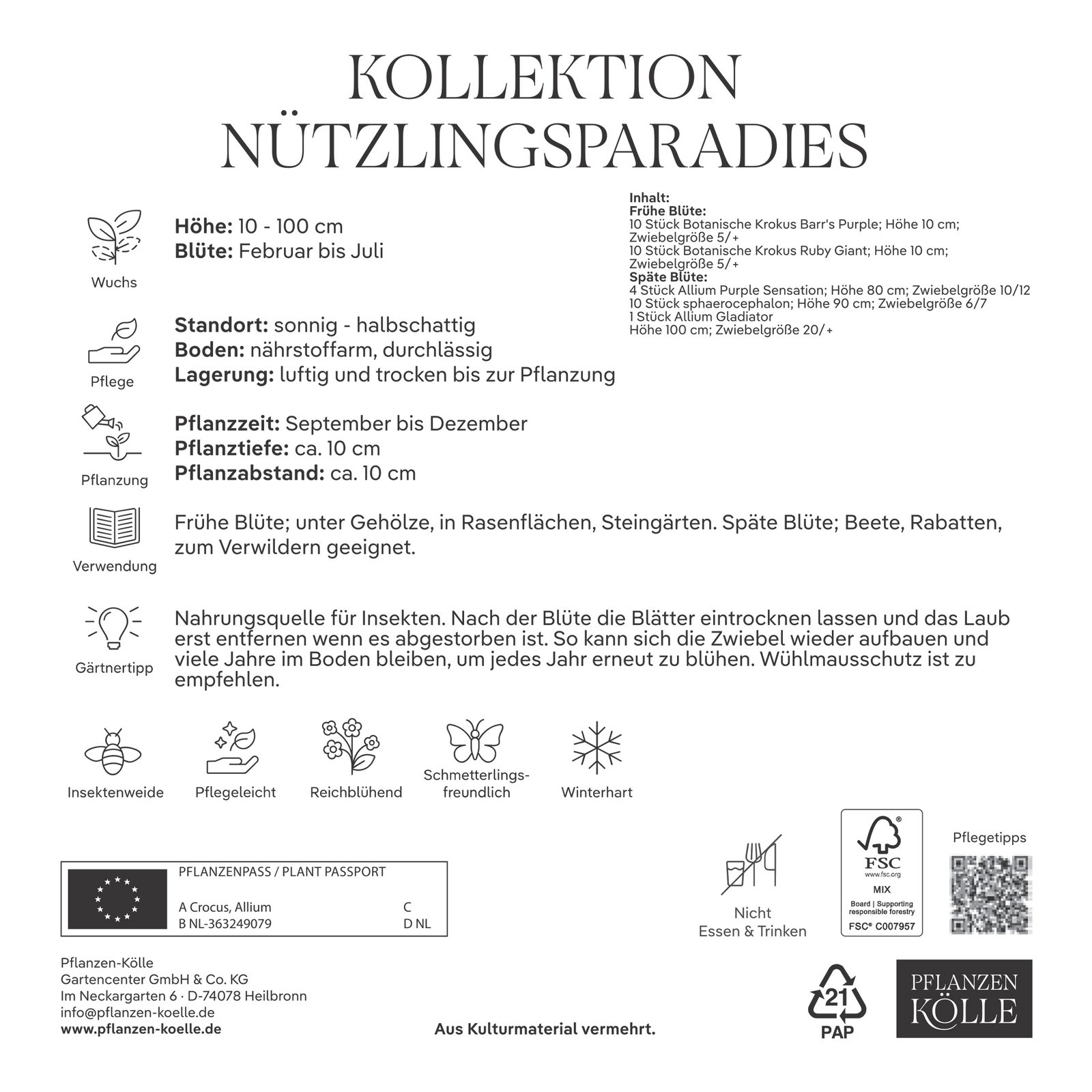 Krokus-Kollektion 'Nützlingsparadies', blau, pink, 35 Blumenzwiebeln Krokus-Kollektion 'Nützlingsparadies', blau, pink, 35 Blumenzwiebeln