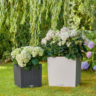 Lechuza 'Cube Cottage 50', weiß, ca. 49 x 49 x H 49,5 cm