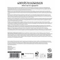 Sperli Wintersteckzwiebeln 'Akado®', rot, 50 Zwiebeln