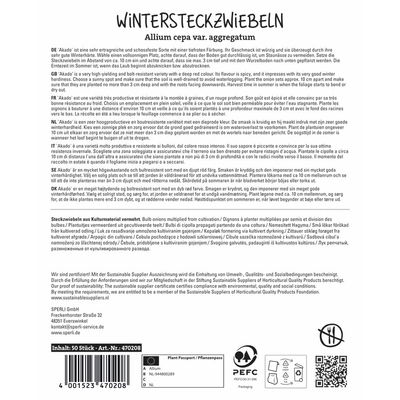 Sperli Wintersteckzwiebeln 'Akado®', rot, 50 Zwiebeln