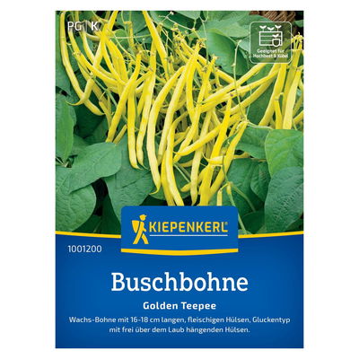 Gemüsesamen, Buschbohnen 'Golden Teepee'