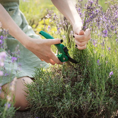 Online-Kurs Online-Kurs