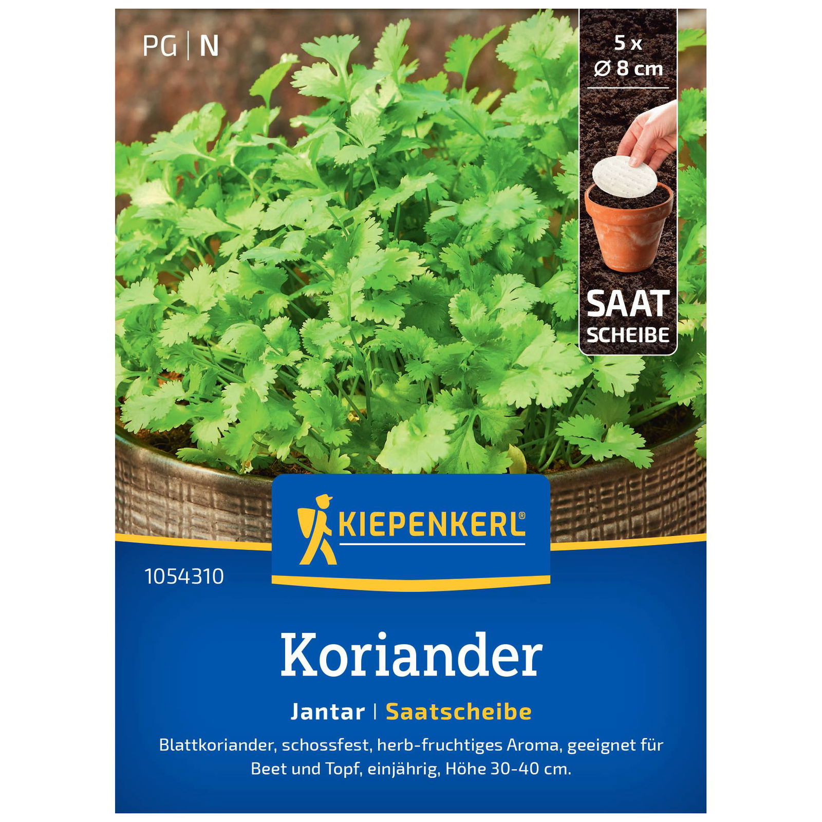 Kiepenkerl Saatscheibe Koriander 'Jantar'