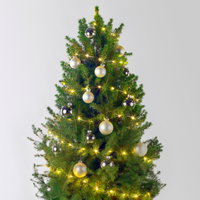 Weihnachtsbäumchen weiß-silber, Topf-Ø 25 cm, Höhe ca. 100 cm Weihnachtsbäumchen weiß-silber, Topf-Ø 25 cm, Höhe ca. 100 cm