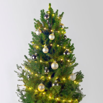 Weihnachtsbäumchen weiß-silber, Topf-Ø 25 cm, Höhe ca. 100 cm Weihnachtsbäumchen weiß-silber, Topf-Ø 25 cm, Höhe ca. 100 cm
