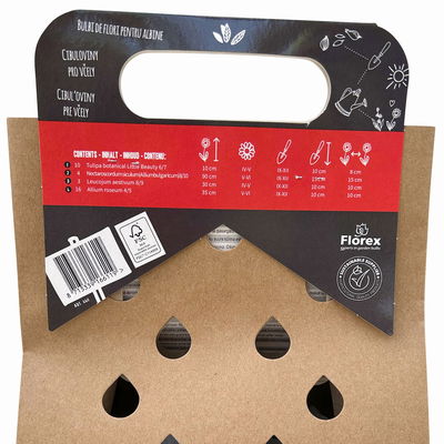 Blumenzwiebelmischung 'Bienenfreundliche Blumen A',  33 Blumenzwiebeln Blumenzwiebelmischung 'Bienenfreundliche Blumen A',  33 Blumenzwiebeln