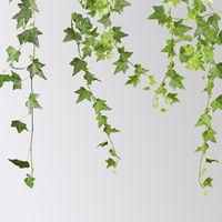 Efeu inkl. Keramiktopf Dallas anthrazit Topf-Ø 12/13 cm, 3er-Set Efeu inkl. Keramiktopf Dallas anthrazit Topf-Ø 12/13 cm, 3er-Set