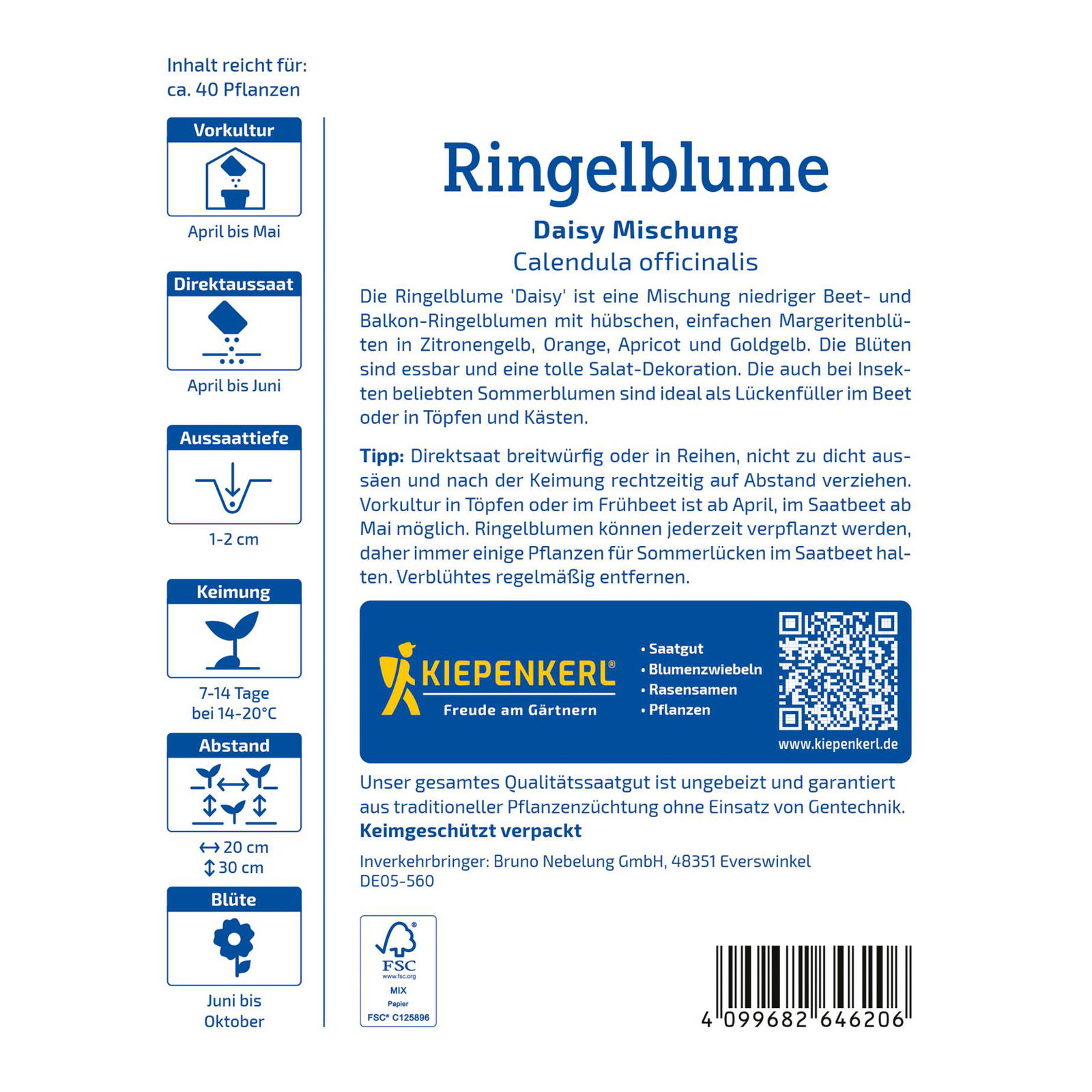 Kiepenkerl Saatgutmischung Ringelblume 'Daisy'