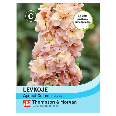 Blumensamen, Levkoje 'Apricot Column', pastell, 50 Stück Blumensamen, Levkoje 'Apricot Column', pastell, 50 Stück
