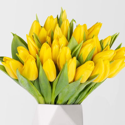30 gelbe Tulpen