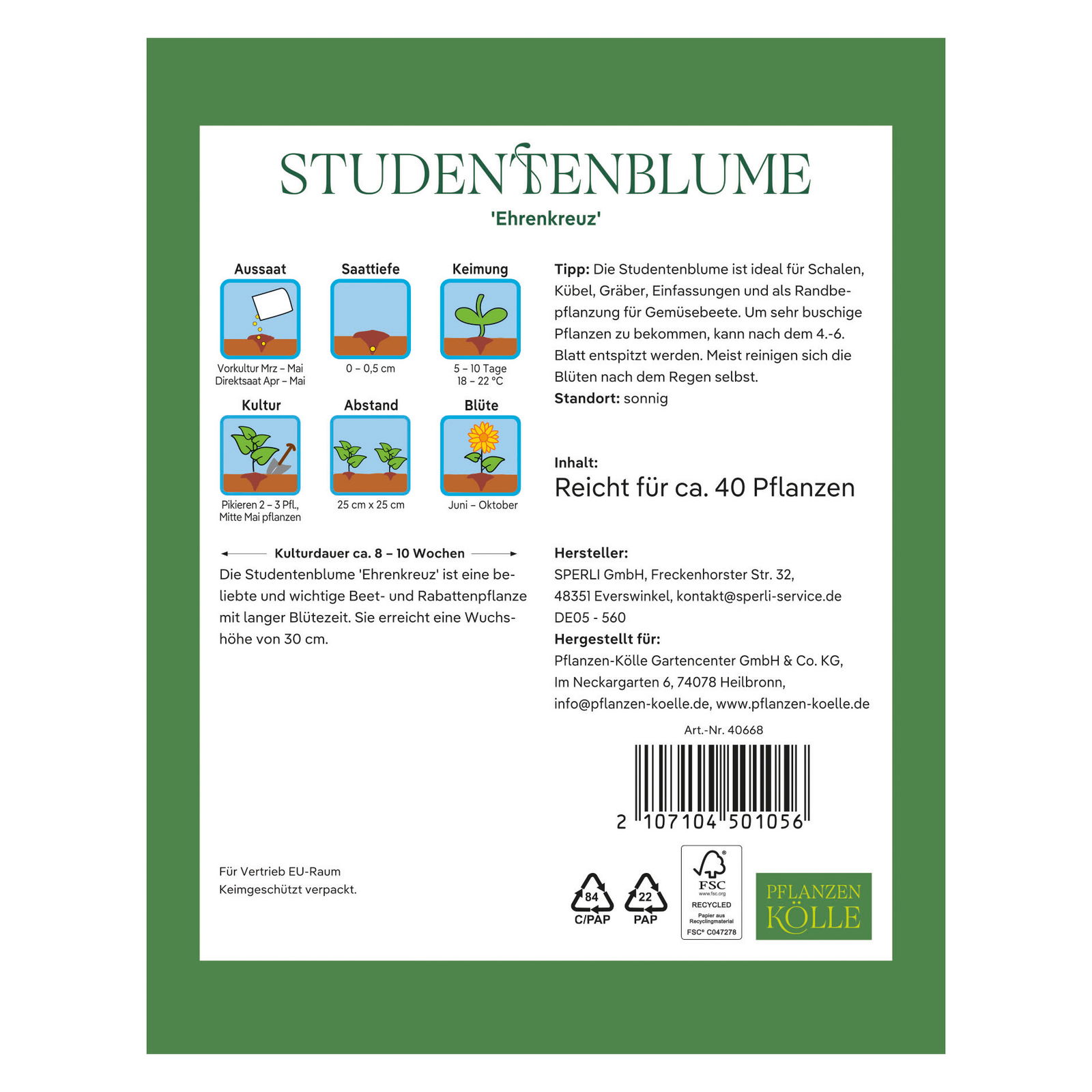 Kölles Beste Blumensamen, Studentenblume 'Ehrenkreuz'