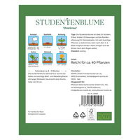 Kölles Beste Blumensamen, Studentenblume 'Ehrenkreuz'