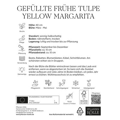 Tulpen 'Yellow/Margarita', Gelb, 7 Blumenzwiebeln, Größe 11/12