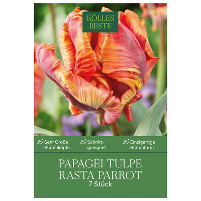 Papagei-Tulpen 'Rasta Parrot', goldgelb, Größe 11/12, 7 Blumenzwiebeln Papagei-Tulpen 'Rasta Parrot', goldgelb, Größe 11/12, 7 Blumenzwiebeln