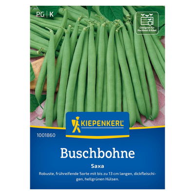 Saatgut, Buschbohne 'Saxa' Saatgut, Buschbohne 'Saxa'