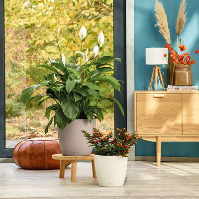 Lechuza 'Classico Color 21', weiß, ca. Ø 21,5 x H 20,5 cm Lechuza 'Classico Color 21', weiß, ca. Ø 21,5 x H 20,5 cm