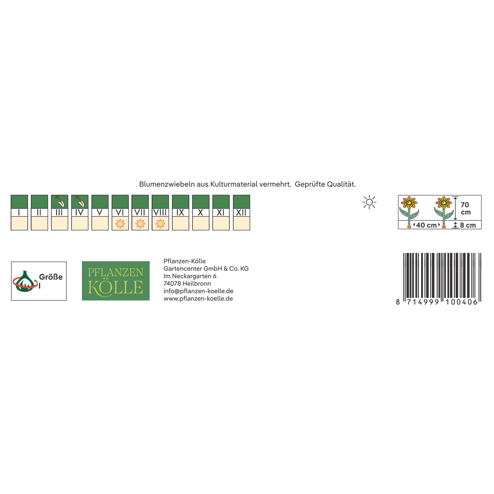 Kölles Beste Duftende Iris Mischung Trio, 3 Blumenknollen