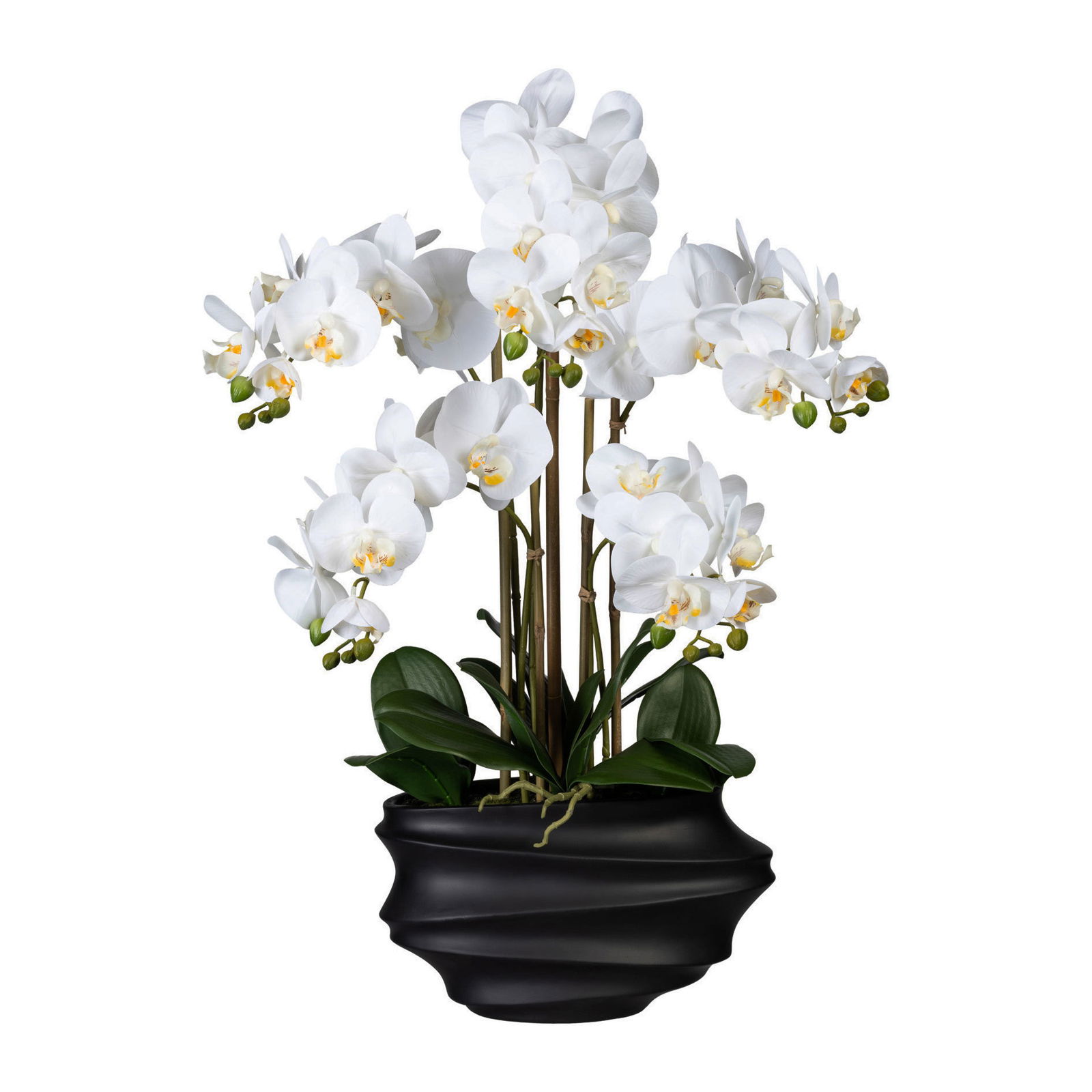 Künstliche Orchidee, Phalaenopsis, 5 Rispen, weiß, ca. 75 cm, 30 x 17 x 12 cm Kunststoffvase in schwarz