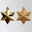 Sterne, 12er-Set, gold, Kunststoff, ca. B 9 x H 12 cm Sterne, 12er-Set, gold, Kunststoff, ca. B 9 x H 12 cm
