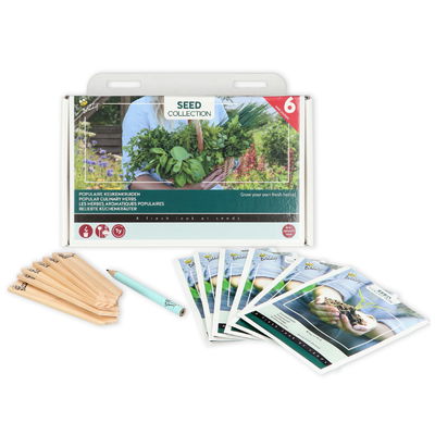 Saatgut 'Beliebte Küchenkräuter' Saatgut 'Beliebte Küchenkräuter'