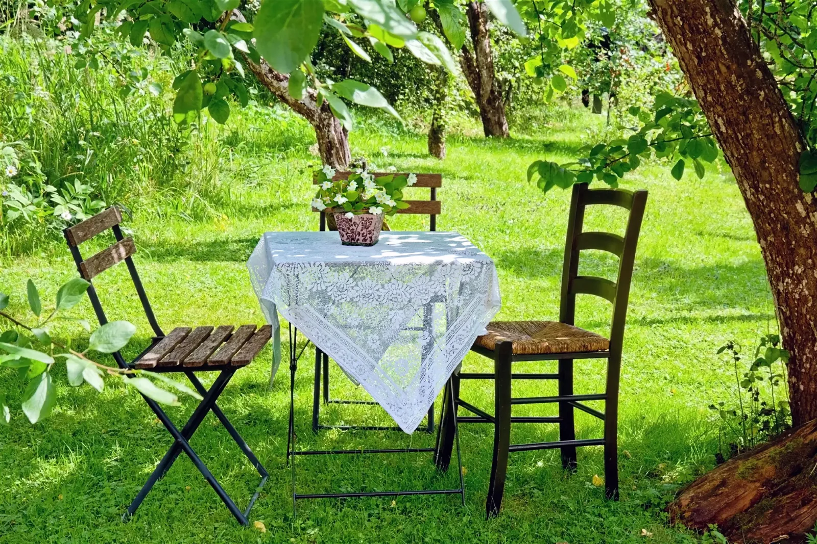 Stühle und dekorierter Tisch im Naturgarten unter Baum