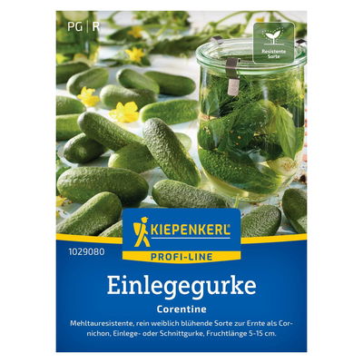 Gemüsesamen, Einlegegurke 'Corentine', grün Gemüsesamen, Einlegegurke 'Corentine', grün