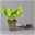Küchenkräuter Basilikum, Oregano & Petersilie, Topf 11x11 cm, inkl. Greenbar®