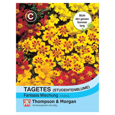 Samen, Tagetes, Studentenblume 'Fantasia', gelb-rot Samen, Tagetes, Studentenblume 'Fantasia', gelb-rot