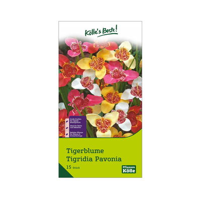 Tigerblumen Mischung, groß, 15 Blumenzwiebeln
