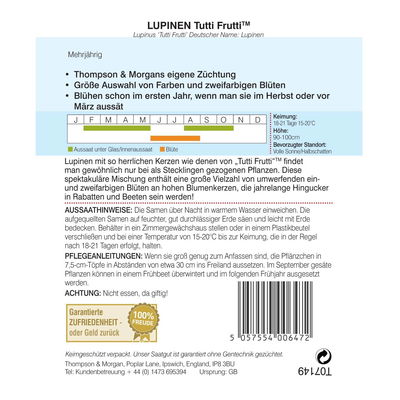 Lupine Tutti Frutti / zweifarbig, wunderschön, giftig Lupine Tutti Frutti / zweifarbig, wunderschön, giftig