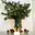 Tannenzweige in der Vase Tannenzweige in der Vase