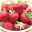Bio Aroma-Erdbeere, öftertragend, Topf 3 Liter
